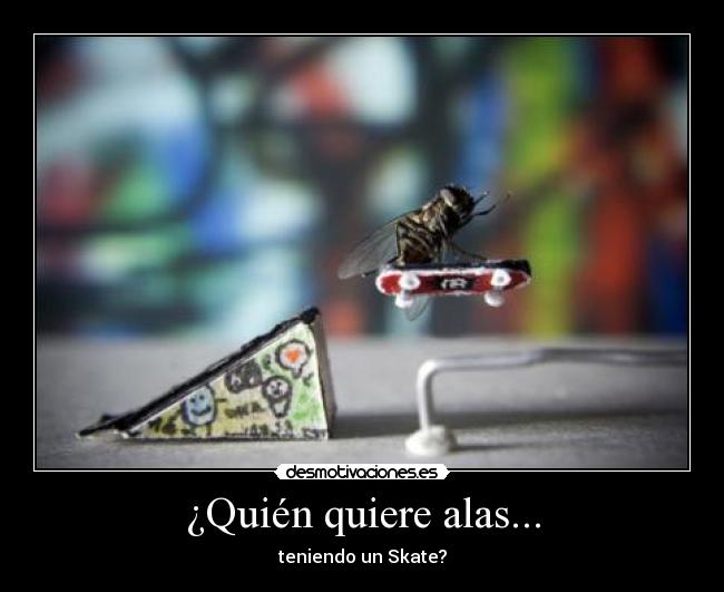 ¿Quién quiere alas... - teniendo un Skate?