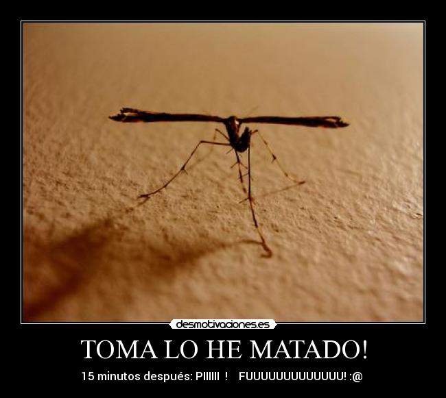 TOMA LO HE MATADO! - 15 minutos después: PIIIIII ! FUUUUUUUUUUUUU! :@