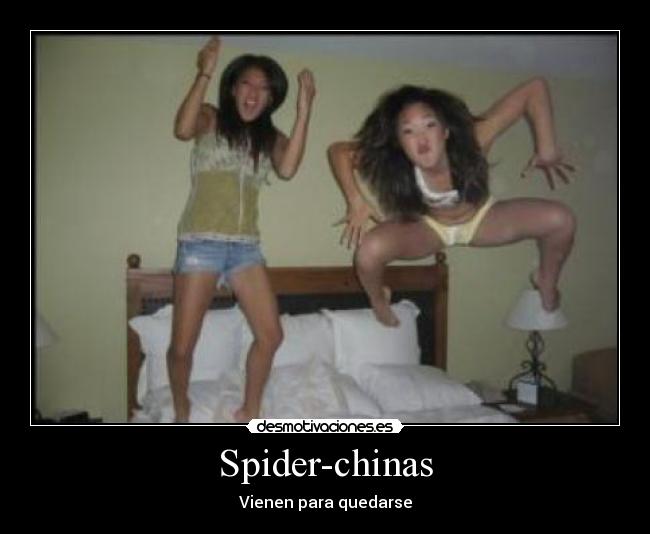 Spider-chinas - Vienen para quedarse