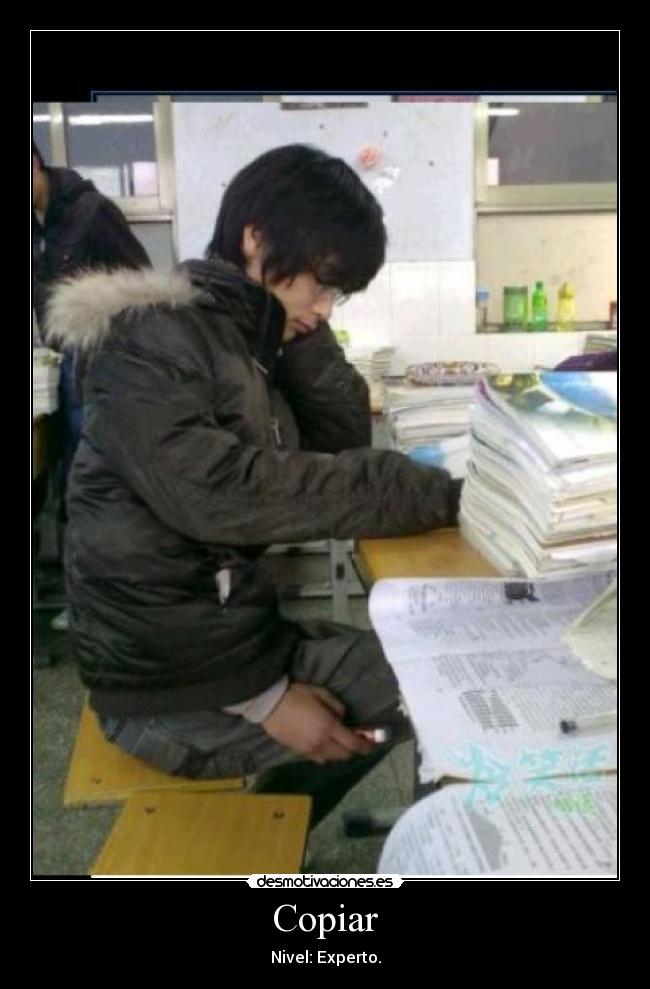 Copiar - 