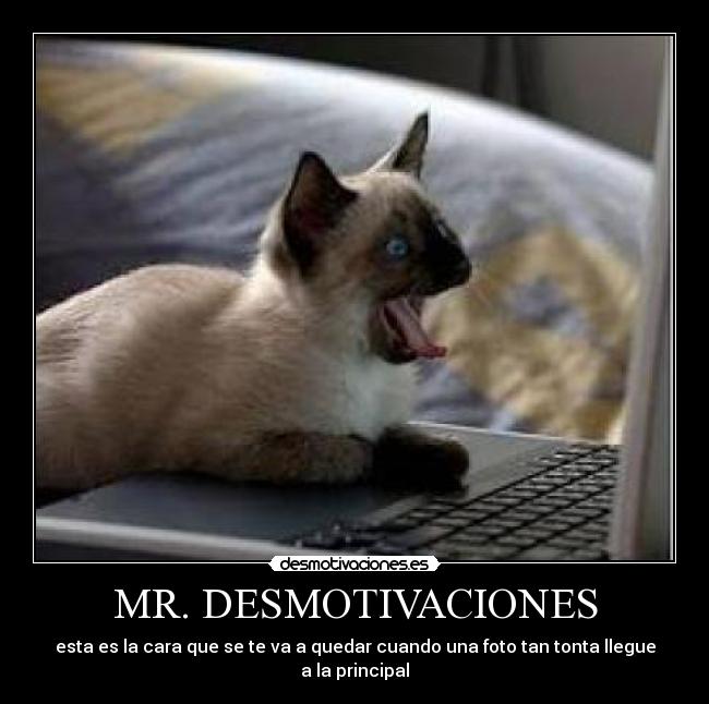 MR. DESMOTIVACIONES - 