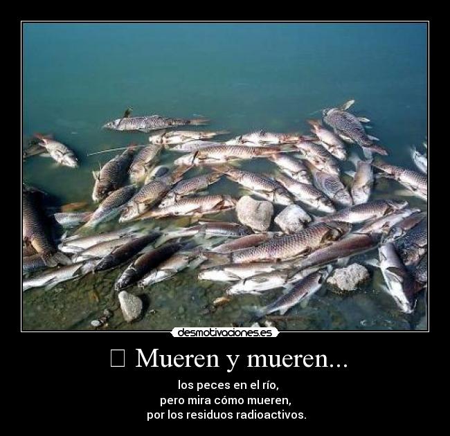 Mueren y mueren... -