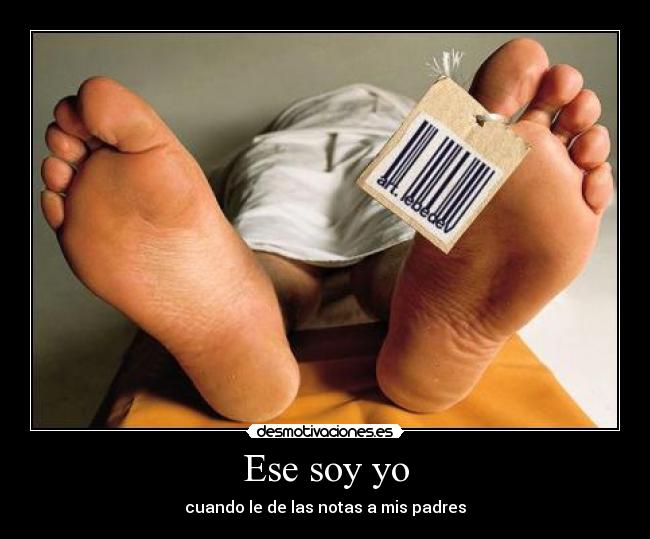 carteles notas desmotivaciones