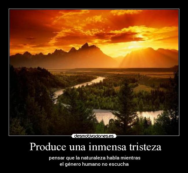 Produce una inmensa tristeza -
