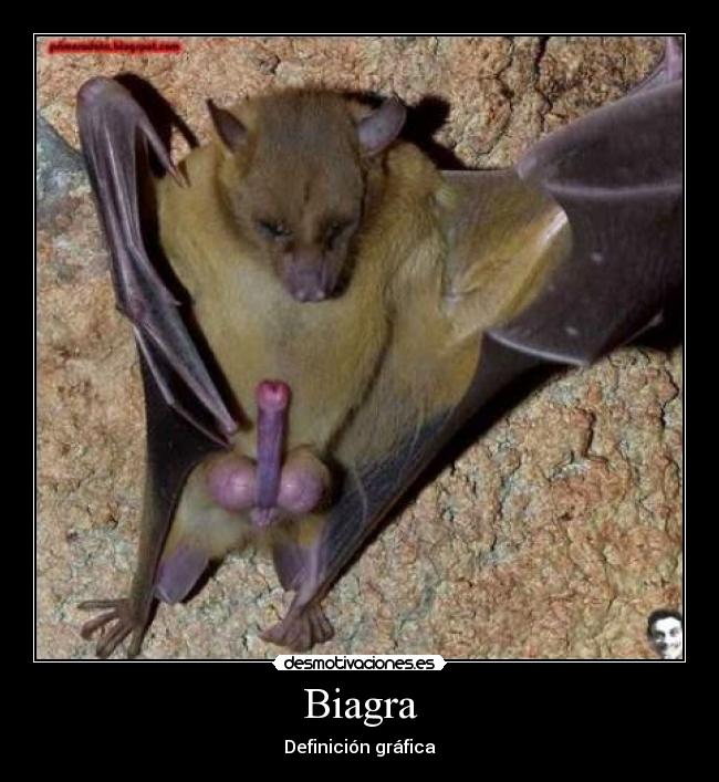 Biagra - 