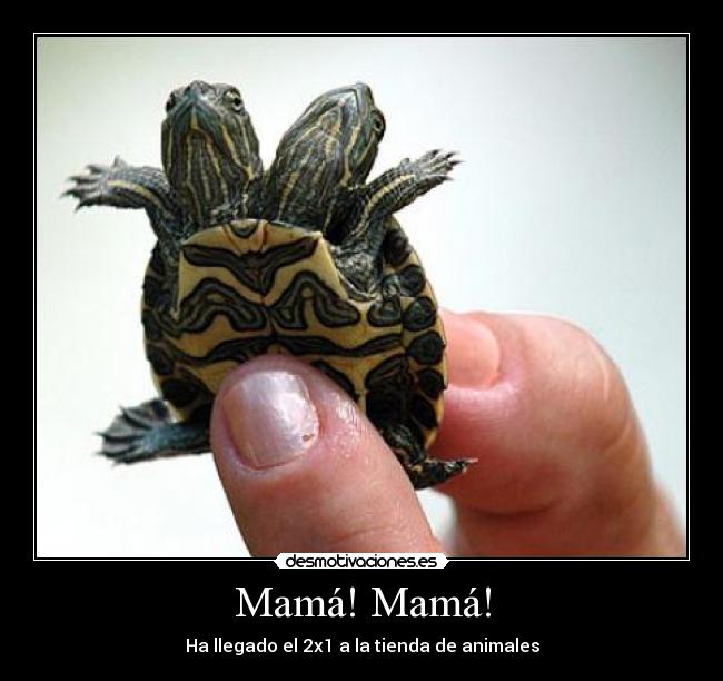 Mamá! Mamá! - Ha llegado el 2x1 a la tienda de animales