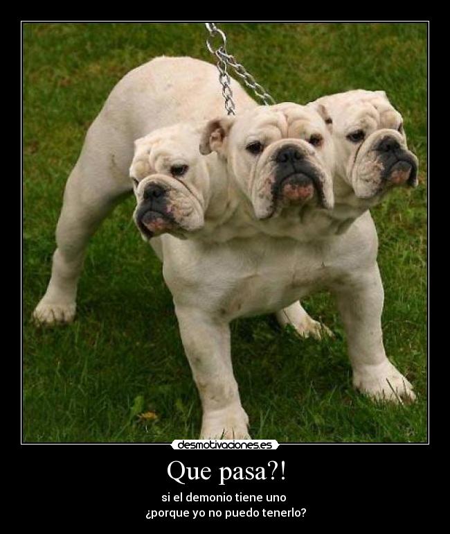 carteles cash desmotivaciones