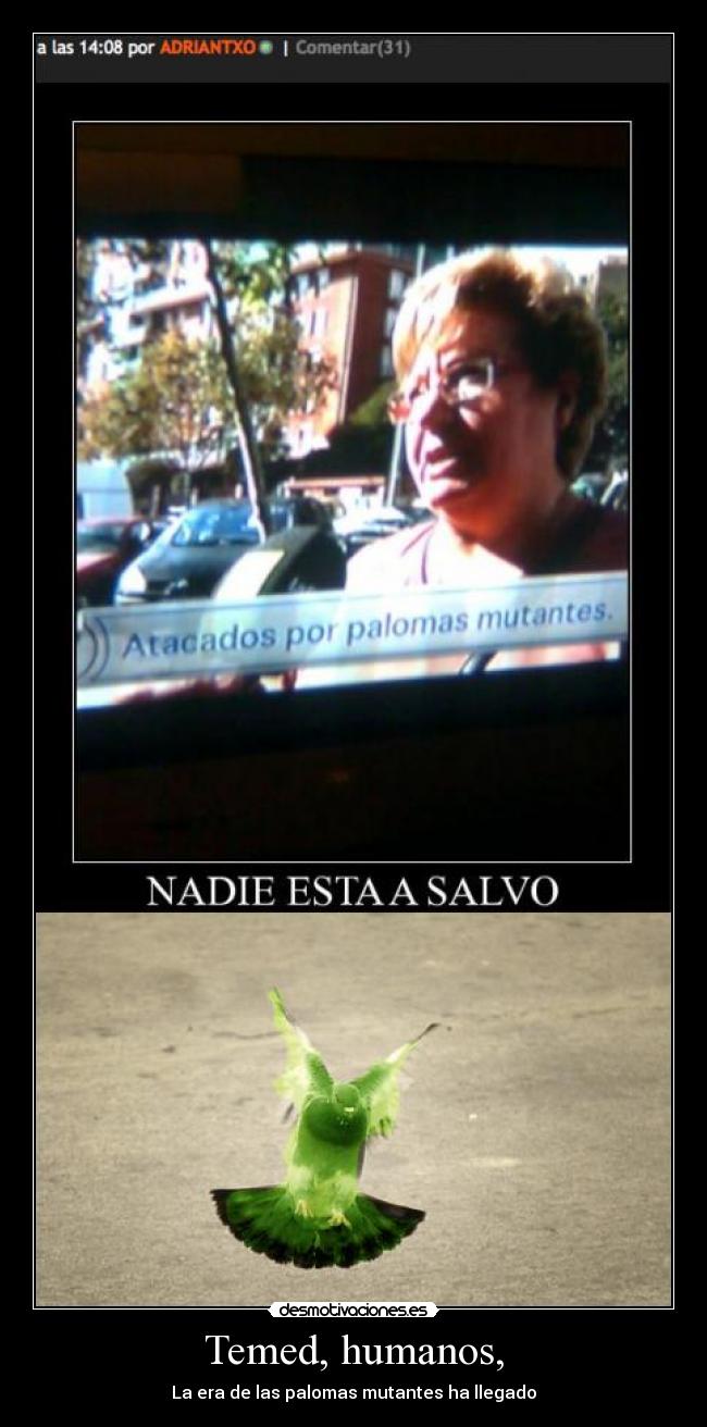 Temed, humanos, - La era de las palomas mutantes ha llegado