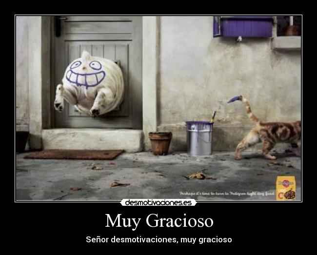 Muy Gracioso - 