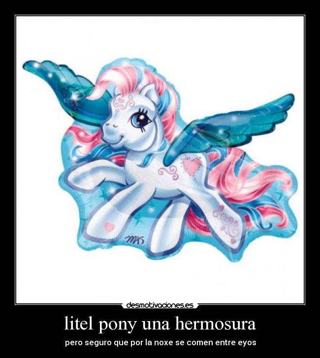 litel pony una hermosura - pero seguro que por la noxe se comen entre eyos