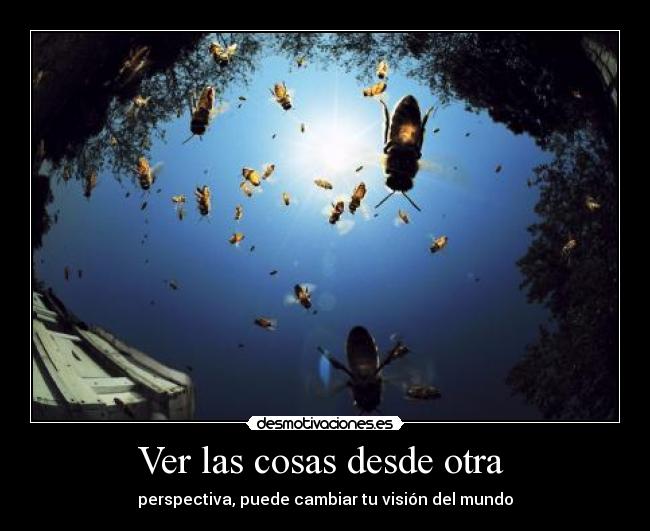 Ver las cosas desde otra  - 