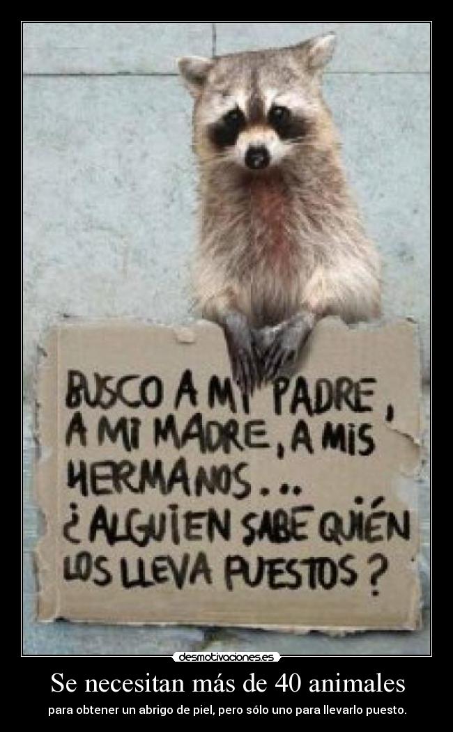 Se necesitan más de 40 animales - para obtener un abrigo de piel, pero sólo uno para llevarlo puesto.