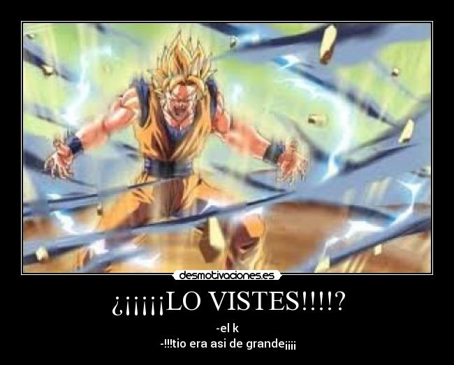 ¿¡¡¡¡¡LO VISTES!!!!? - 