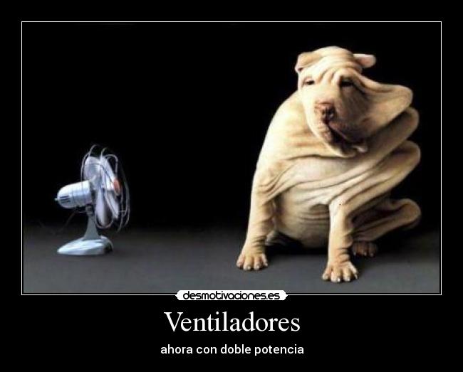 Ventiladores -