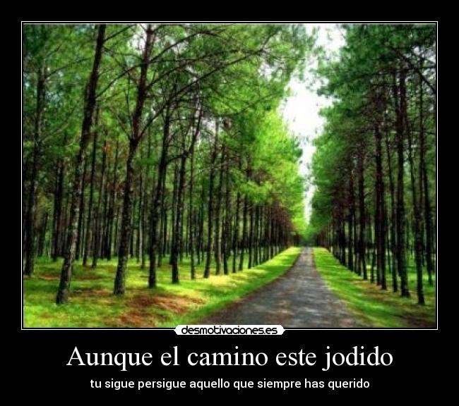 Aunque el camino este jodido - 