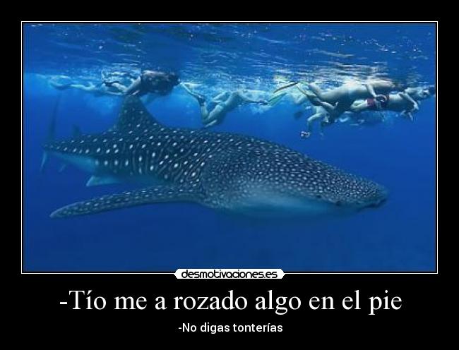-Tío me a rozado algo en el pie -