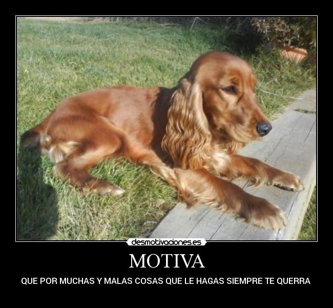 MOTIVA -