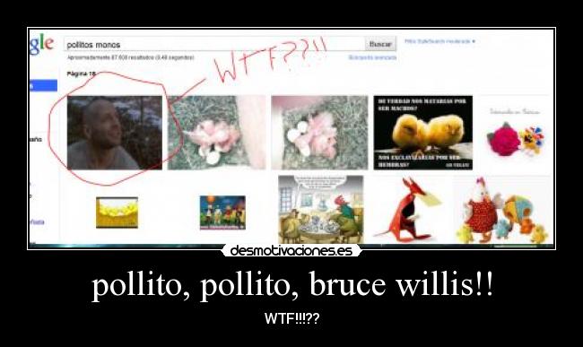pollito, pollito, bruce willis!! - WTF!!!??
