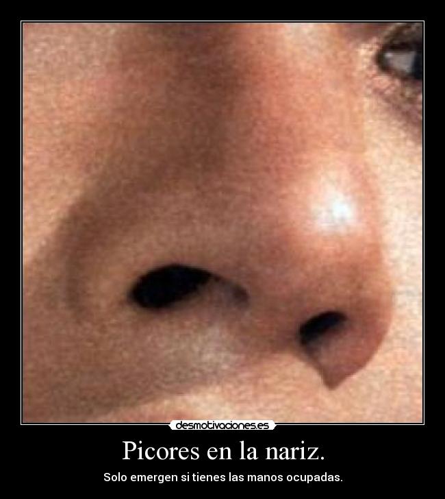 carteles nariz picores desmotivaciones