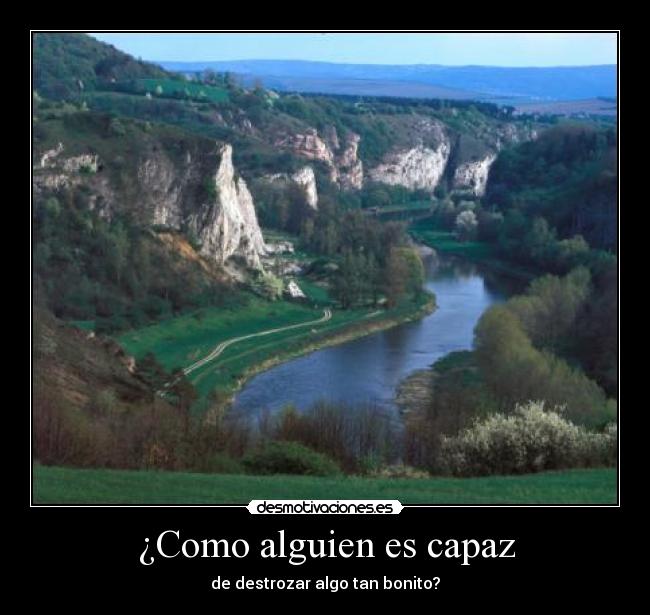 carteles wwwdesmotivacioneses desmotivaciones