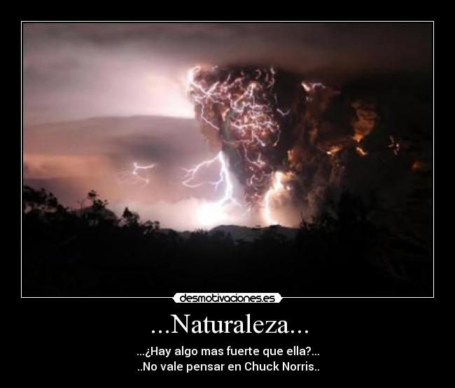 carteles naturaleza shark-devil desmotivaciones