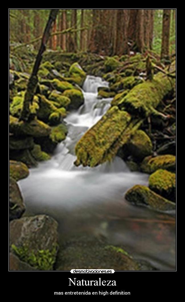 Naturaleza - mas entretenida en high definition