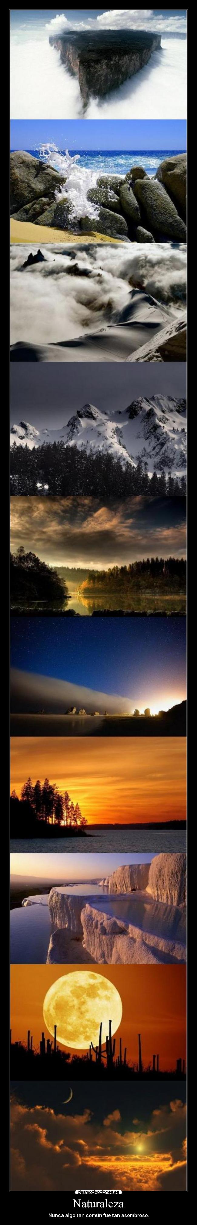 Naturaleza - Nunca algo tan común fue tan asombroso.