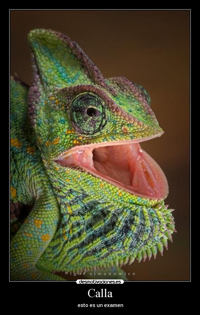 Calla - esto es un examen