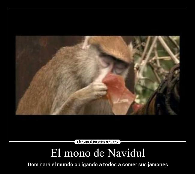 El mono de Navidul -