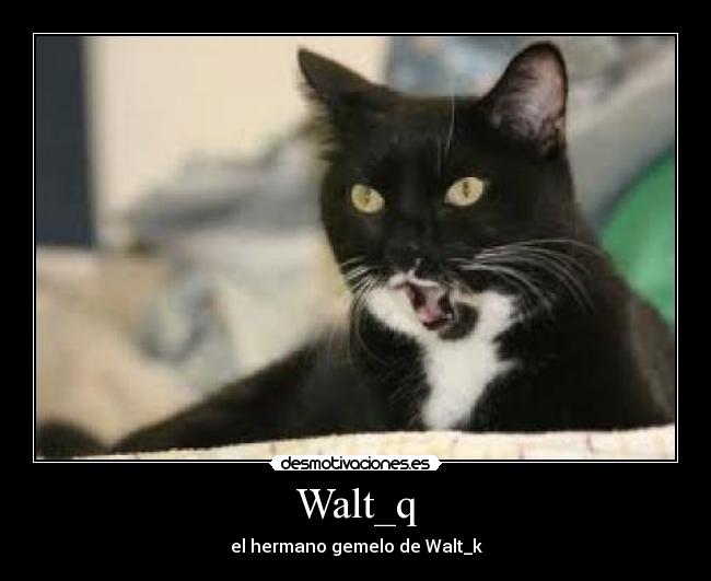 Walt_q -