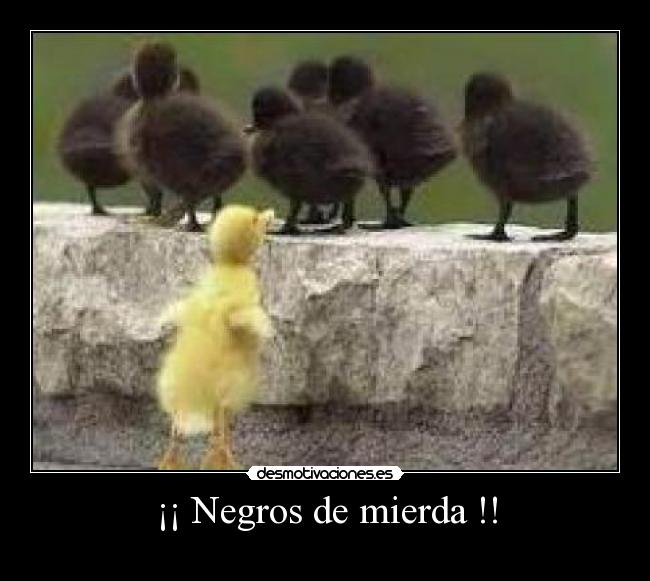 carteles negros mierda desmotivaciones