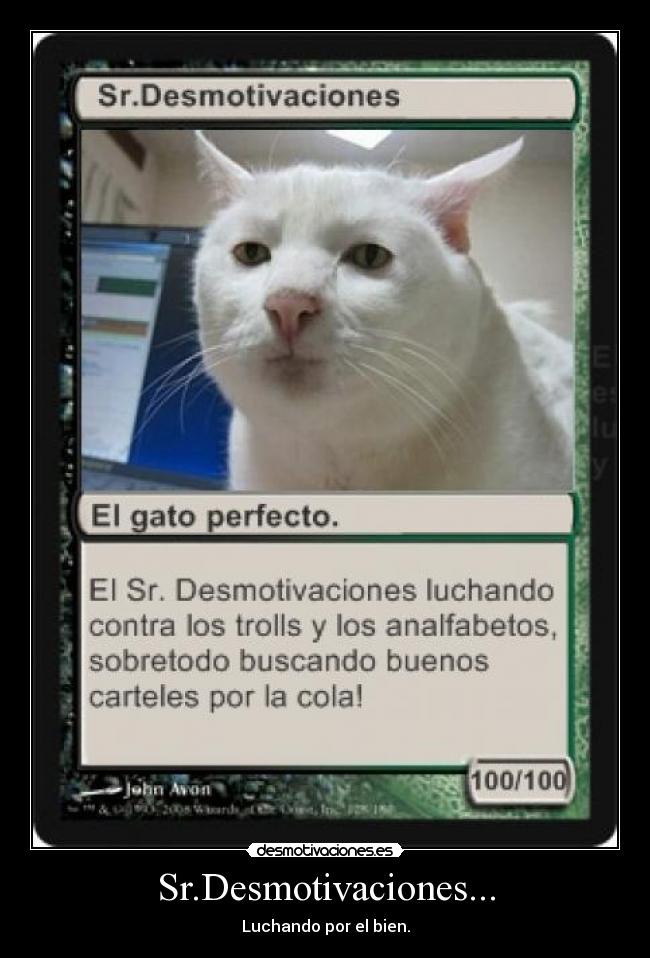Sr.Desmotivaciones... - 
