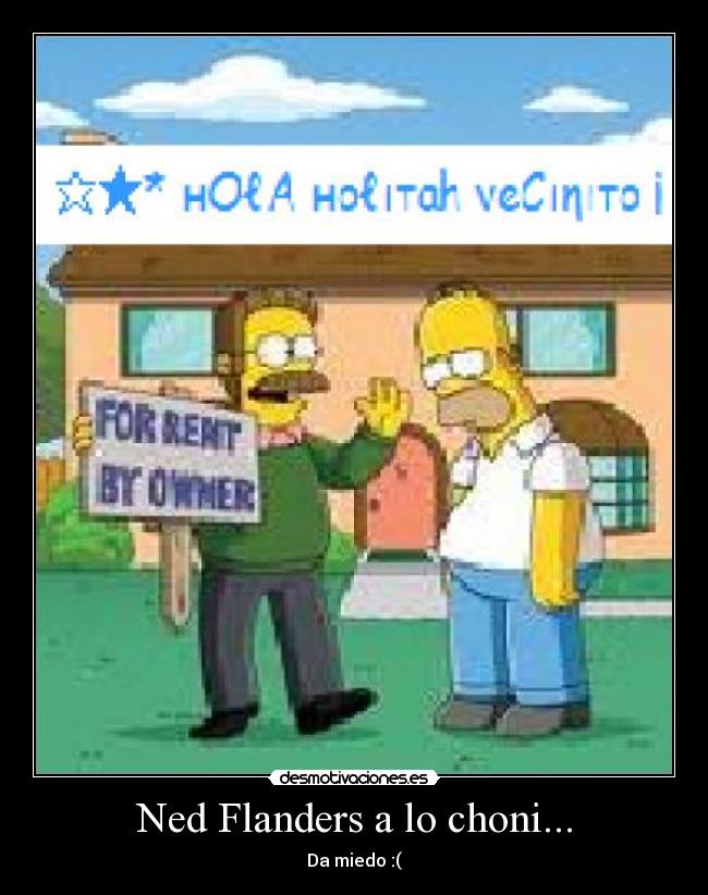 carteles flanders desmotivaciones