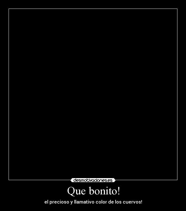 Que bonito! -