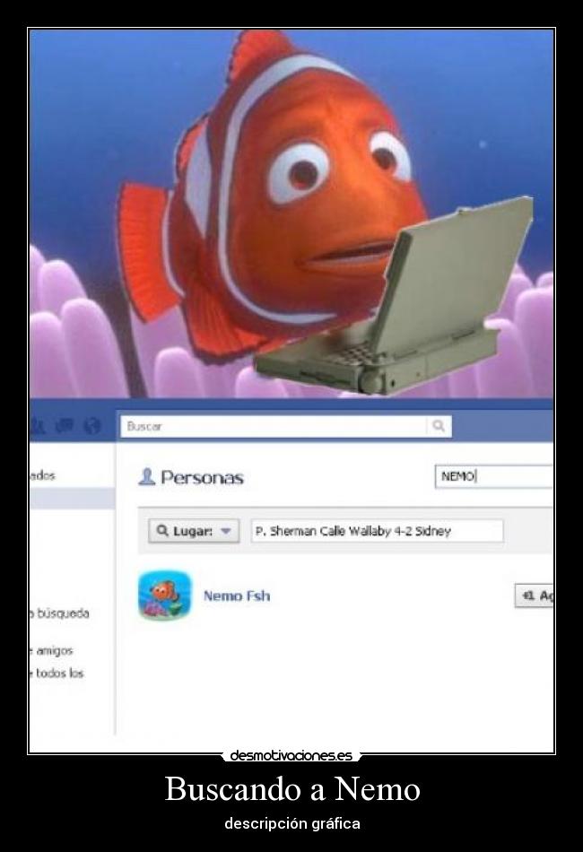 carteles descripcion grafica buscando nemo sherman calle wallaby 4-2 sidney maicol444 desmotivaciones