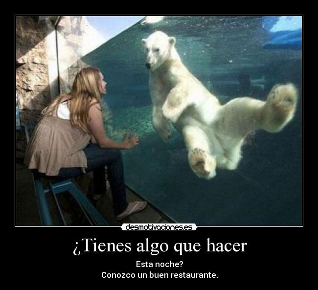 ¿Tienes algo que hacer - 