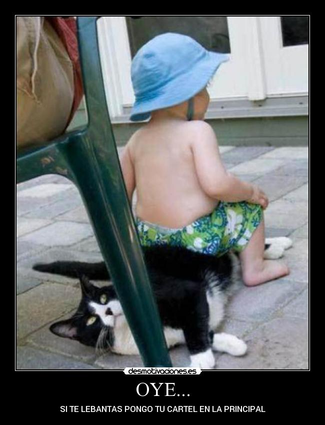 OYE... - SI TE LEBANTAS PONGO TU CARTEL EN LA PRINCIPAL