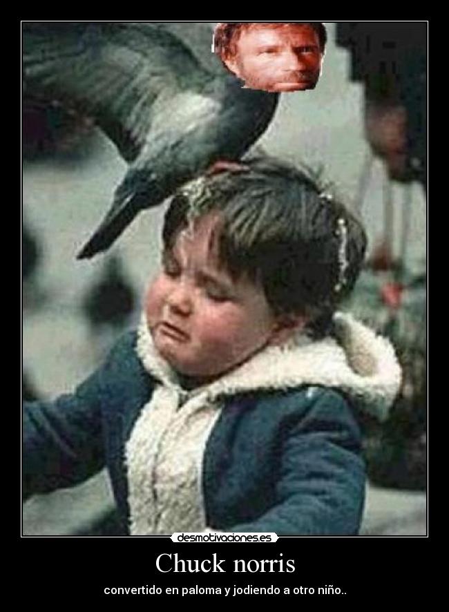 carteles chuck norris desmotivaciones