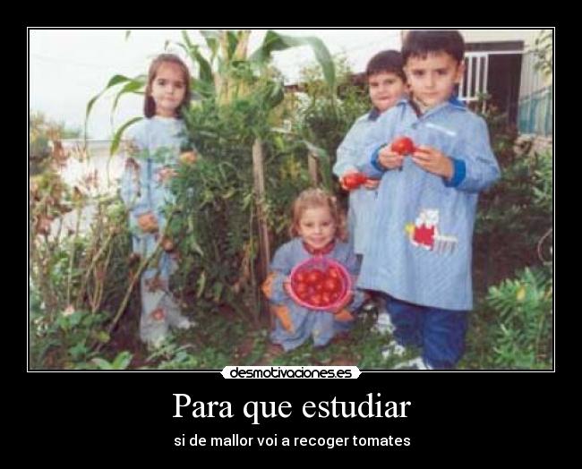 Para que estudiar -