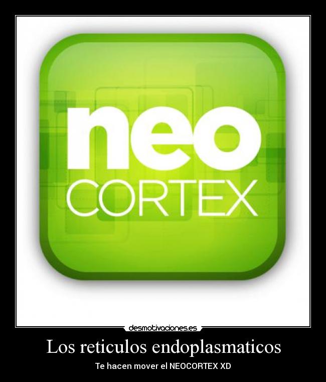 Los reticulos endoplasmaticos - Te hacen mover el NEOCORTEX XD