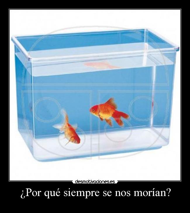 ¿Por qué siempre se nos morían? - 