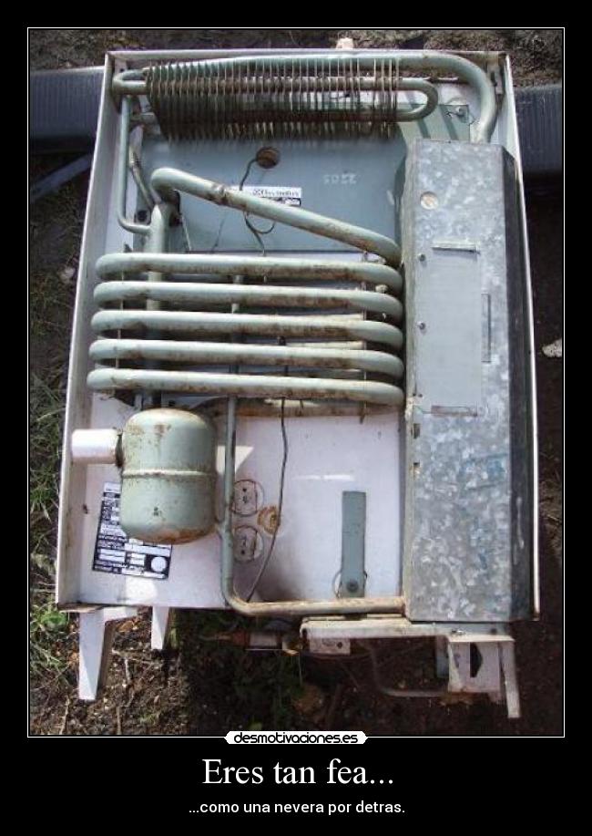 Eres tan fea... - ...como una nevera por detras.
