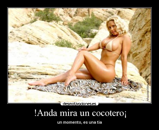 !Anda mira un cocotero¡ - 