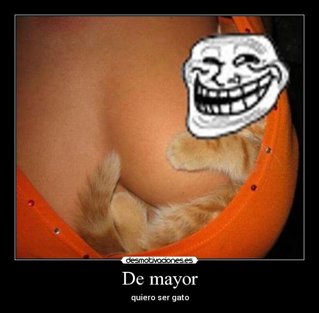 De mayor - quiero ser gato