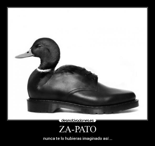 ZA-PATO - 
