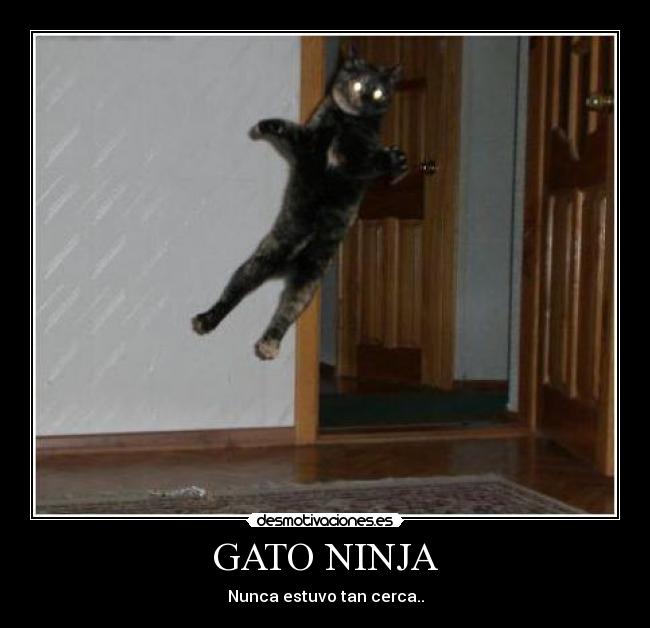 carteles seh desmotivaciones