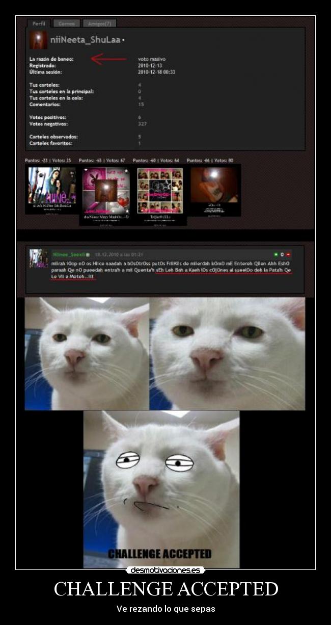CHALLENGE ACCEPTED - Ve rezando lo que sepas