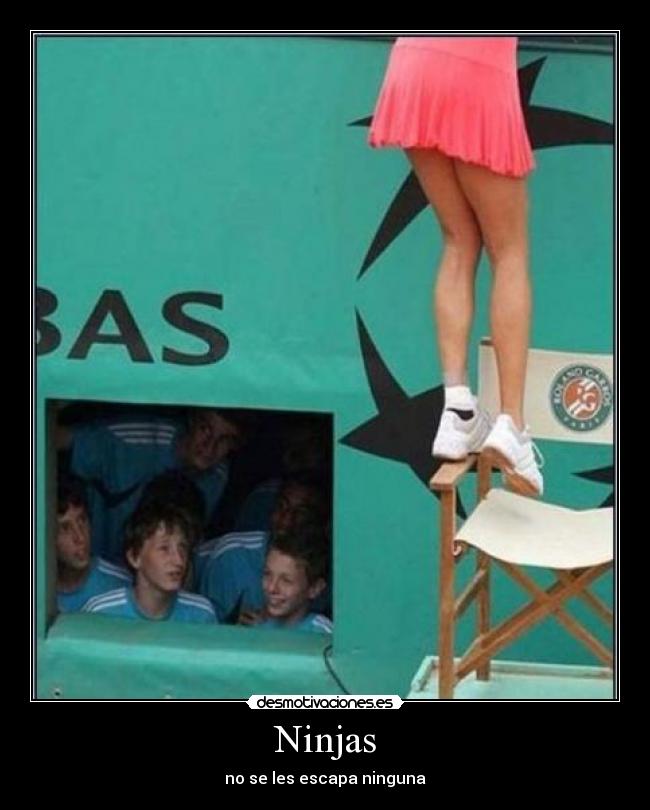 Ninjas - no se les escapa ninguna