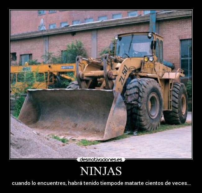 NINJAS -