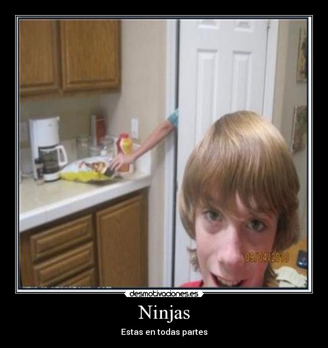 Ninjas - Estas en todas partes